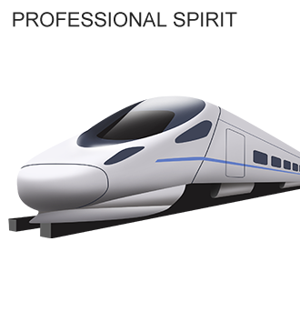 Professional-Spirit